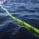 4-Rider Tow Rope